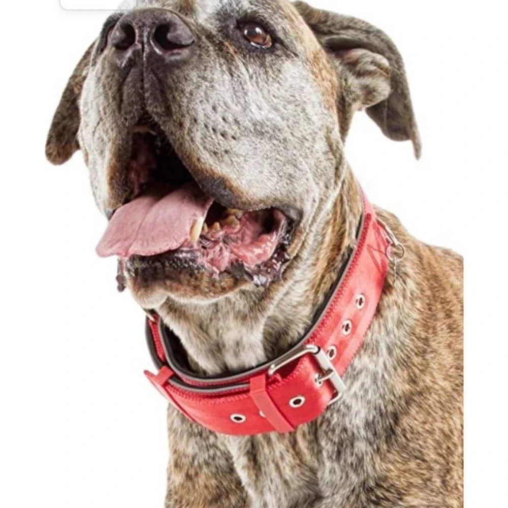 XL XXL new Petco Good2Go big dog red nylon strong collar - Picture 2 of 5